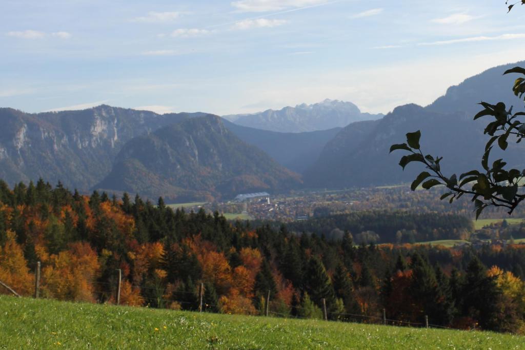 Apartment Andrea - Chiemgau Karte Inzell Luaran gambar